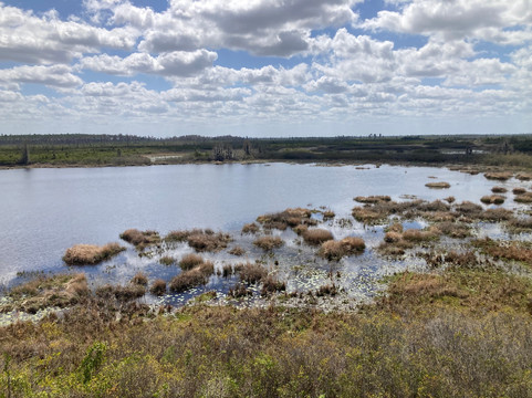Okefenokee National Wildlife Refuge-Folkston必去景点