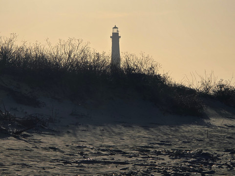 Charleston Fossil Adventures-查尔斯顿必去景点