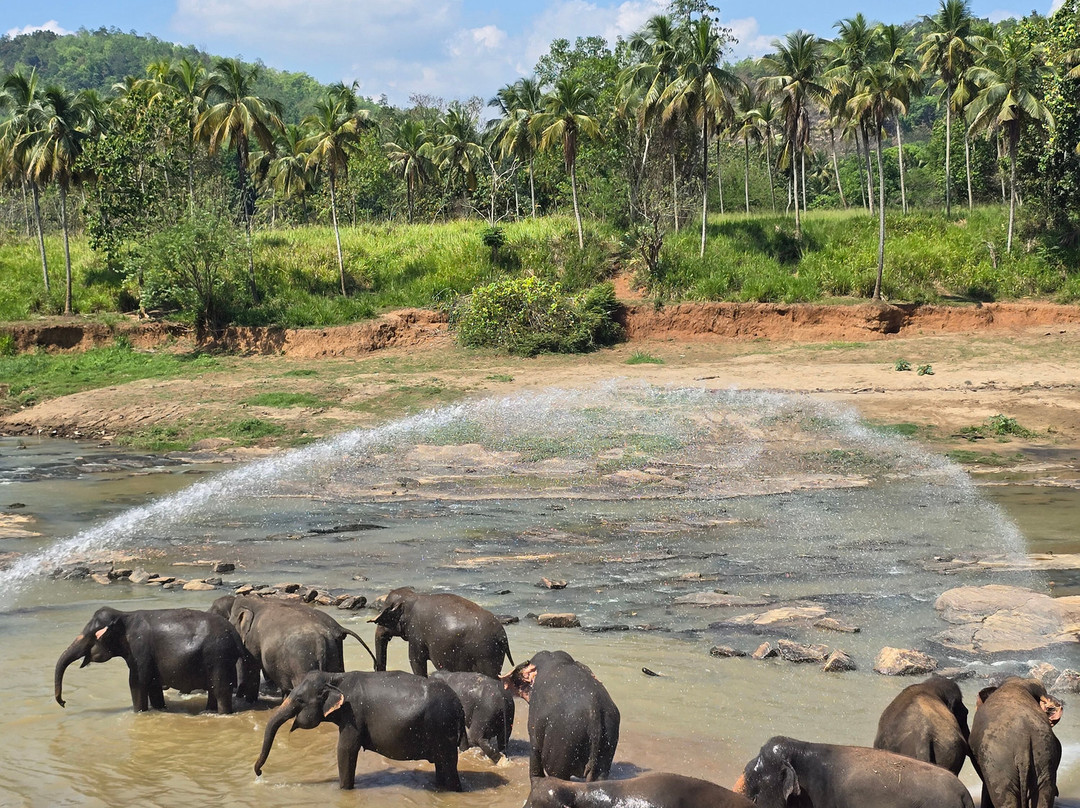 Monkey Tours Sri Lanka-加勒必去景点