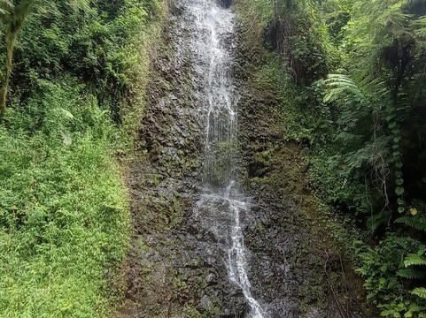Marama Tours-法阿必去景点