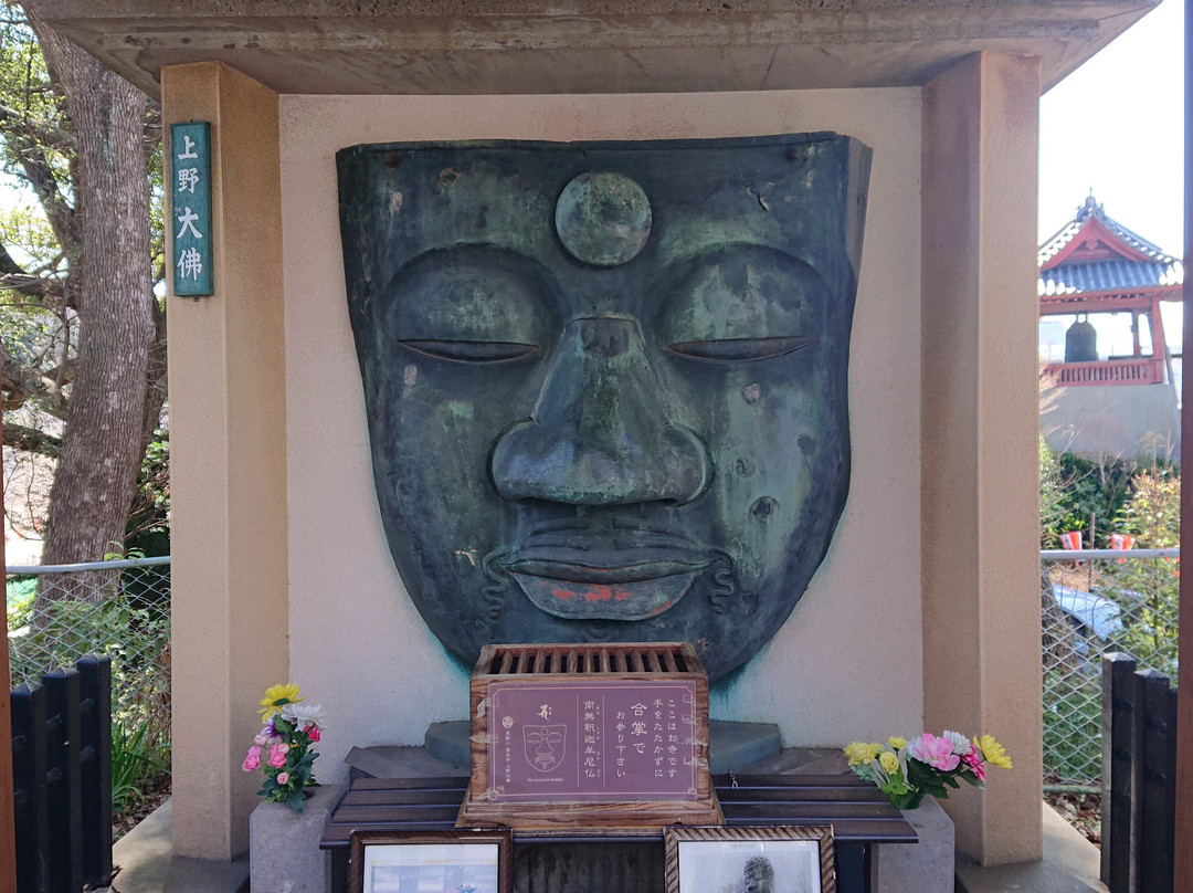 Ueno Daibutsu-Uenokoen必去景点