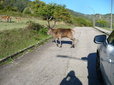 Borgo di Villalago-Villalago必去景点