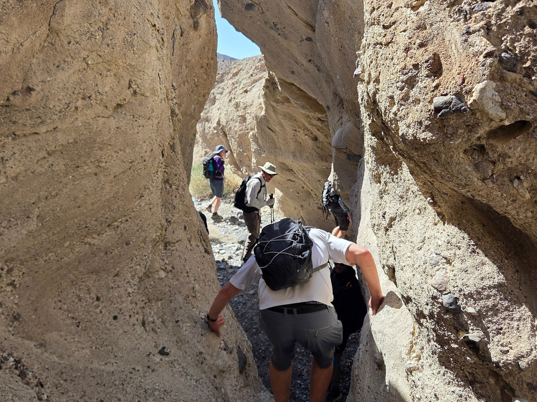 Mountain Travel Sobek-埃默里维尔必去景点