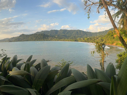 Dominical Surf School-主日镇必去景点