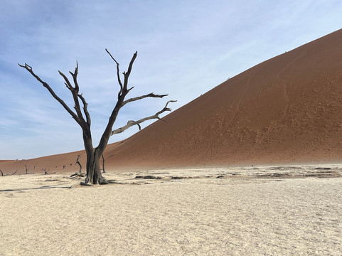 Deadvlei-苏丝斯黎必去景点