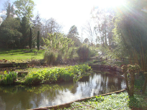 Sir Harold Hillier Gardens-罗姆西必去景点