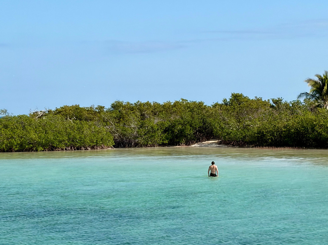 Backcountry Boat Rentals-Sugarloaf Key必去景点
