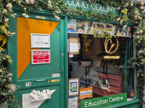 Cuddly Colony-布莱顿必去景点