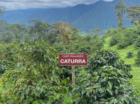 Finca Casa Frajares-Nanegalito必去景点