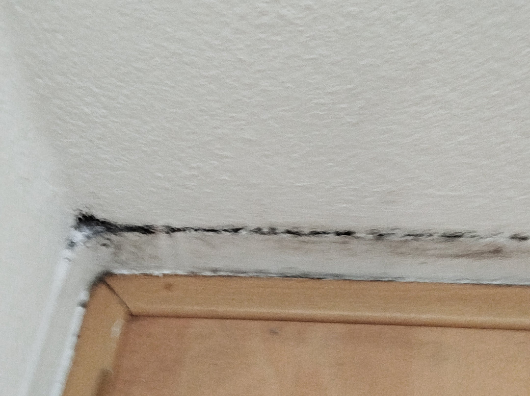 潘森匹克贝罗酒店主图