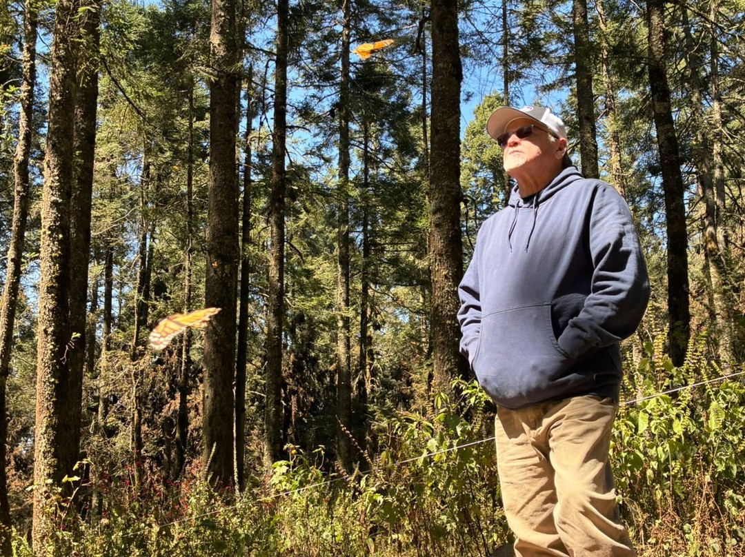 Kay Tours Mexico-普拉亚德尔卡曼必去景点