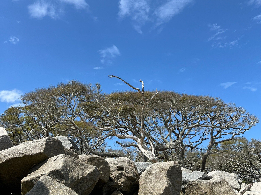 Driftwood Beach-吉柯岛必去景点