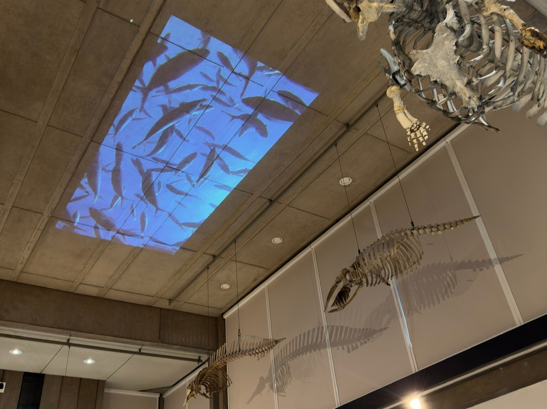 University Museum of Zoology-剑桥必去景点