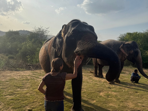 Elefanjoy Elephant Sanctuary-斋蒲尔必去景点