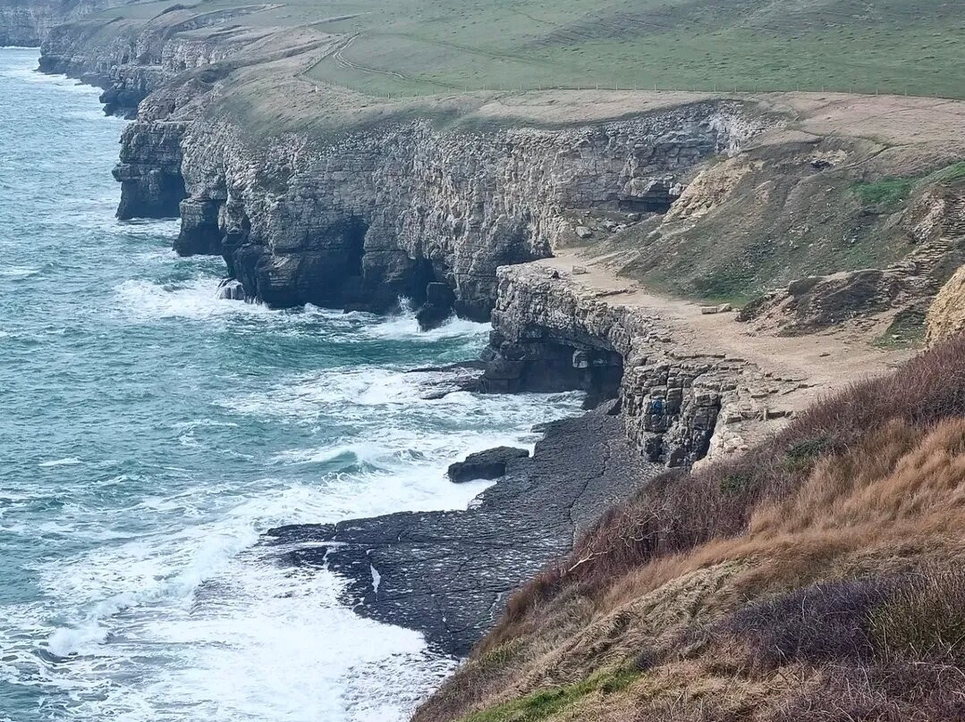 Dancing Ledge-Langton Matravers必去景点