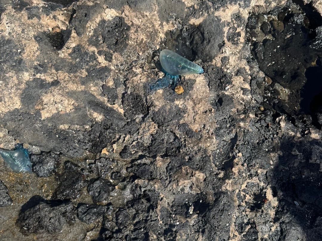 Faro del Tostón-El Cotillo必去景点