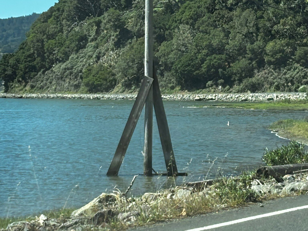 Bolinas Lagoon-Bolinas必去景点
