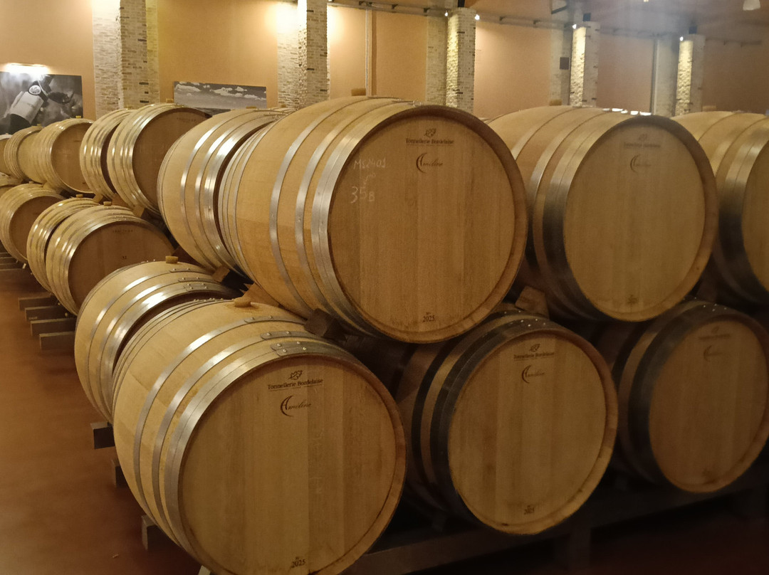 Emilio Moro Bodegas-Pesquera de Duero必去景点