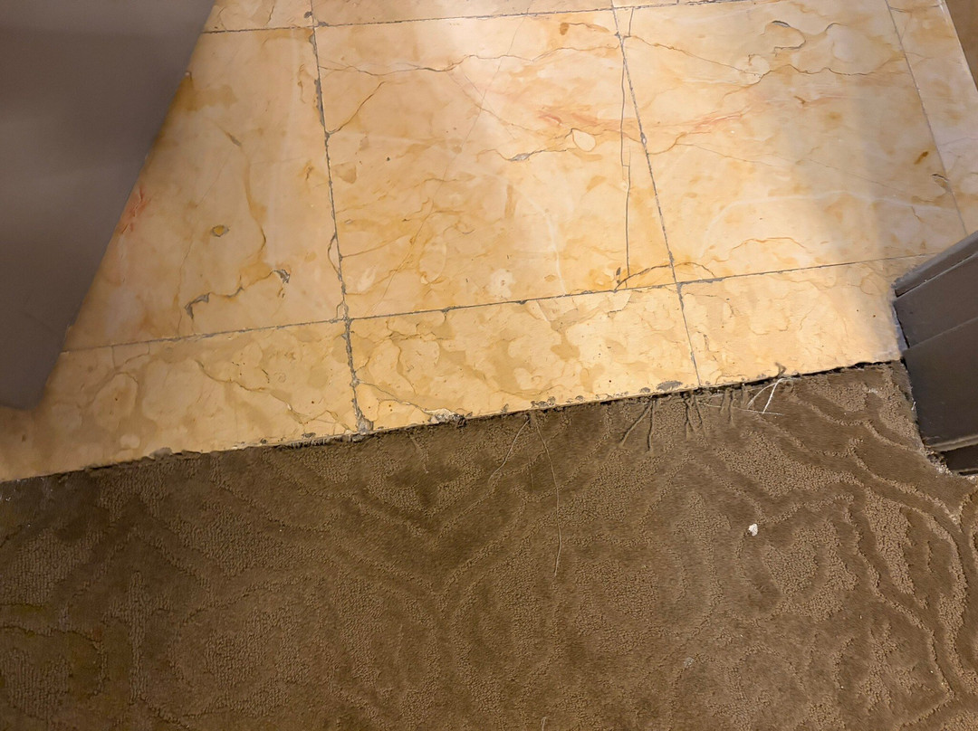 蒙特雷卡米奥真实酒店