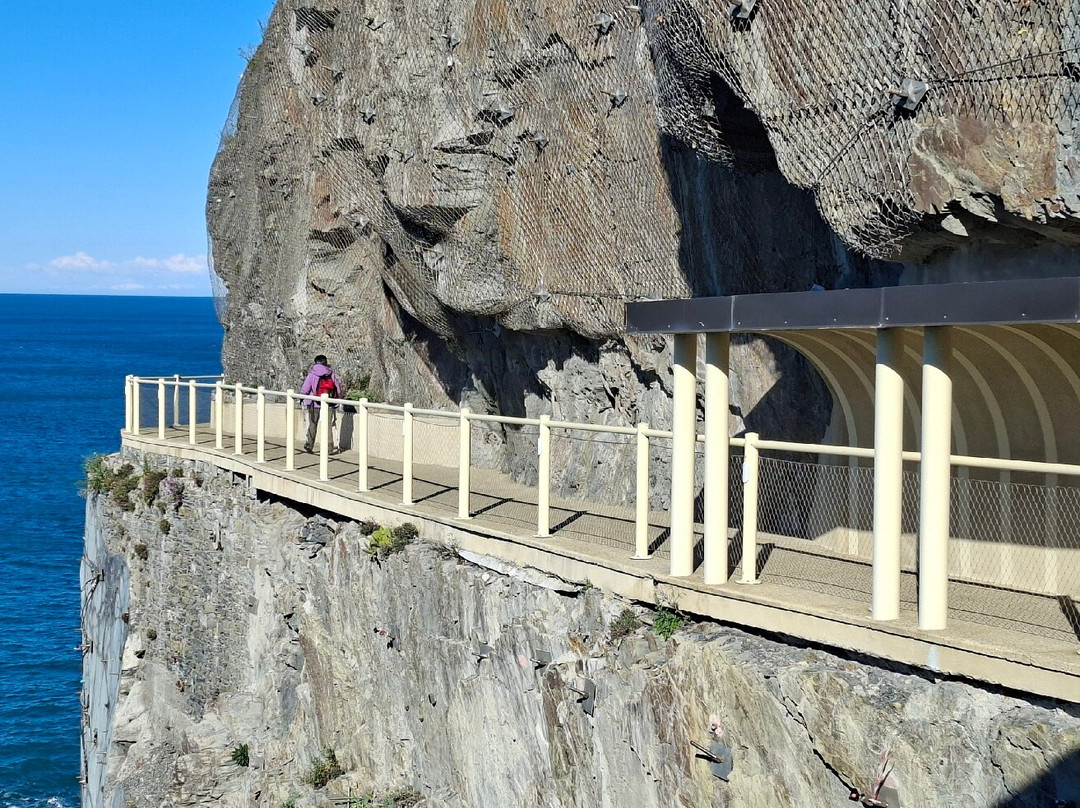 Via dell'Amore-里奥马焦雷必去景点