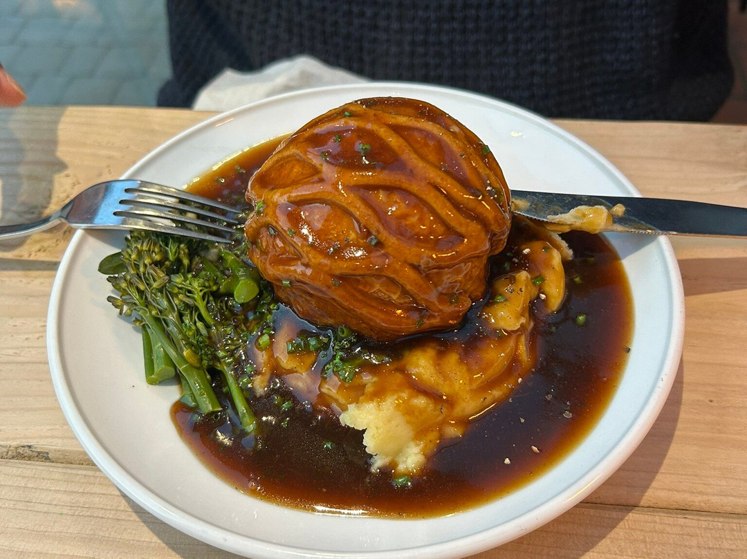 斯蒂夫基红狮主图