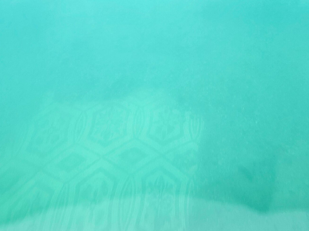 Nemosub Baia-Baiae必去景点