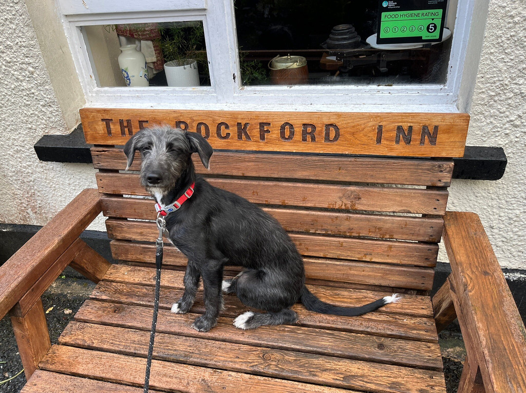 罗克福德酒店主图