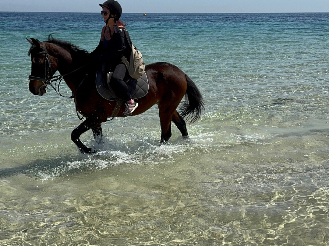 Zinebledi Horse Riding Club-苏塞必去景点