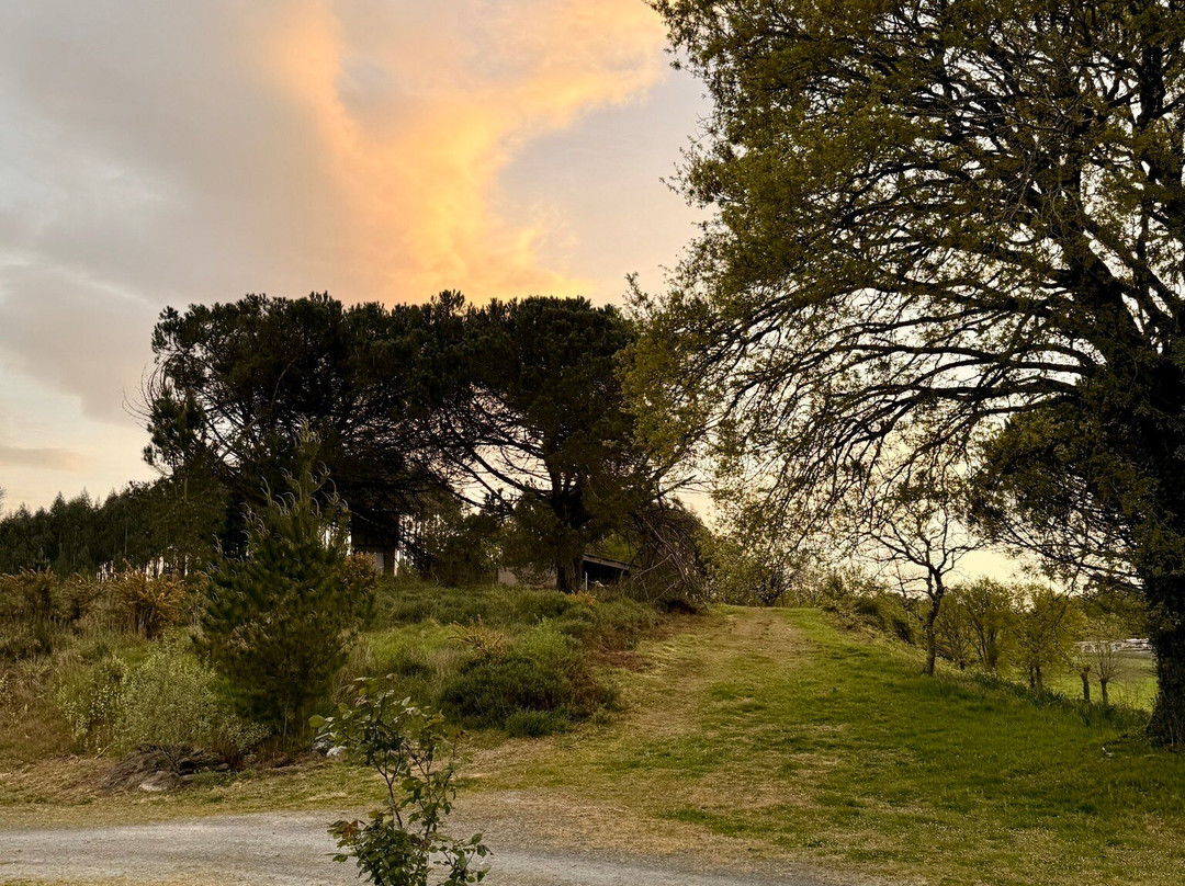 Porto de Bois Apartamentos Turisticos主图