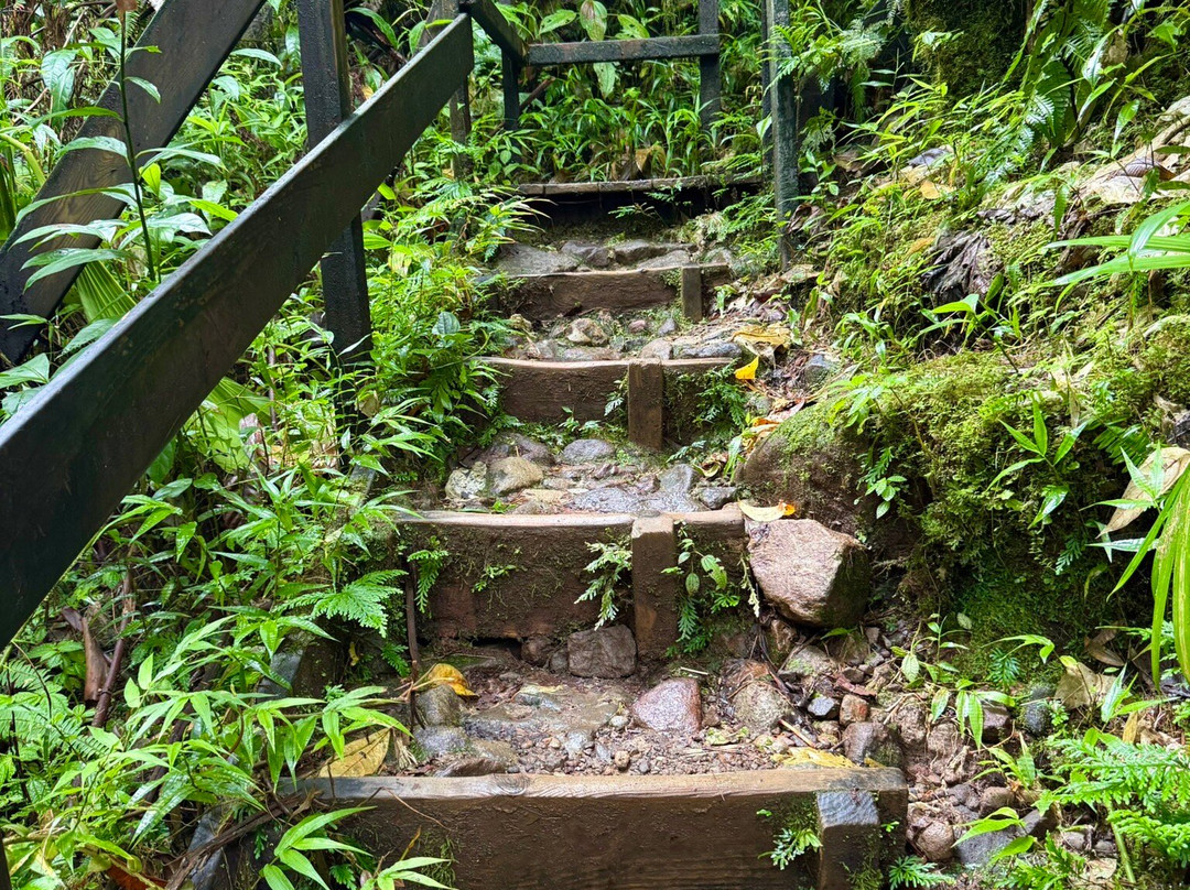 Carbet Falls (Les Chutes du Carbet)-Parc National必去景点
