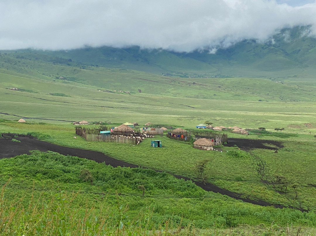 Leopard Tours Limited-阿鲁沙必去景点