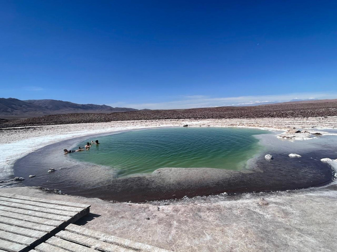 Lagunas Baltinache-圣佩德罗-德阿塔卡马必去景点