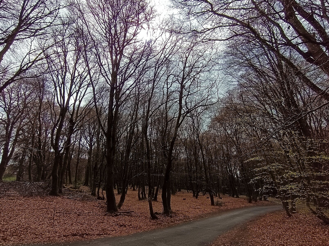 Bibracte-Saint-Leger-sous-Beuvray必去景点