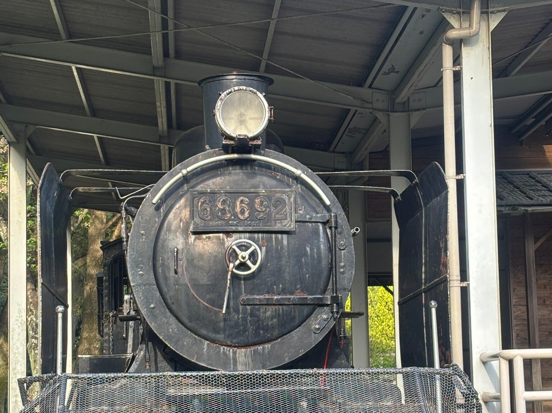 Tokushima Chuo Park-德岛市必去景点