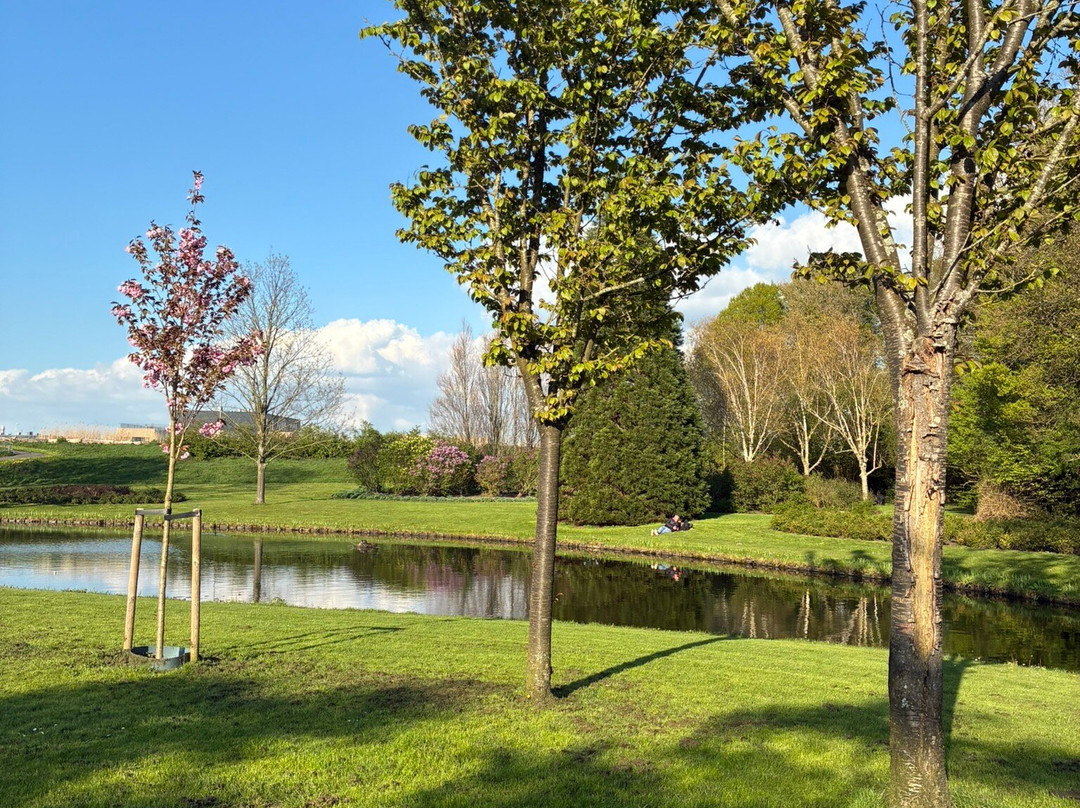 Het Seringenpark van Aalsmeer uit 1951-Aalsmeer必去景点