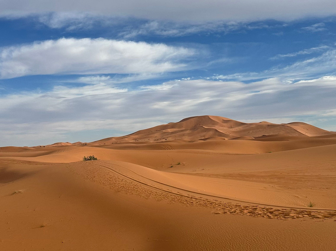 Sahara Desert Kingdom-马拉喀什必去景点