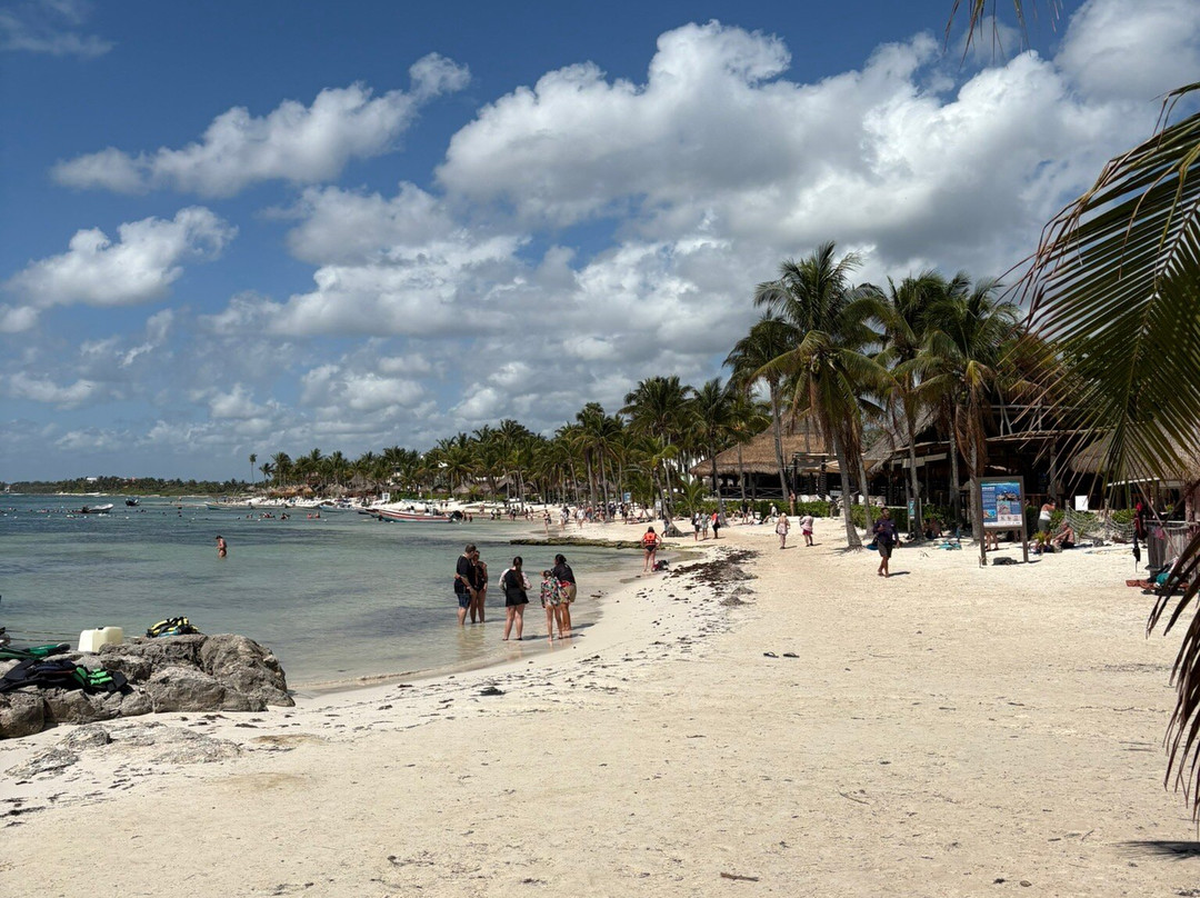 Akumal Beach-艾库玛尔必去景点