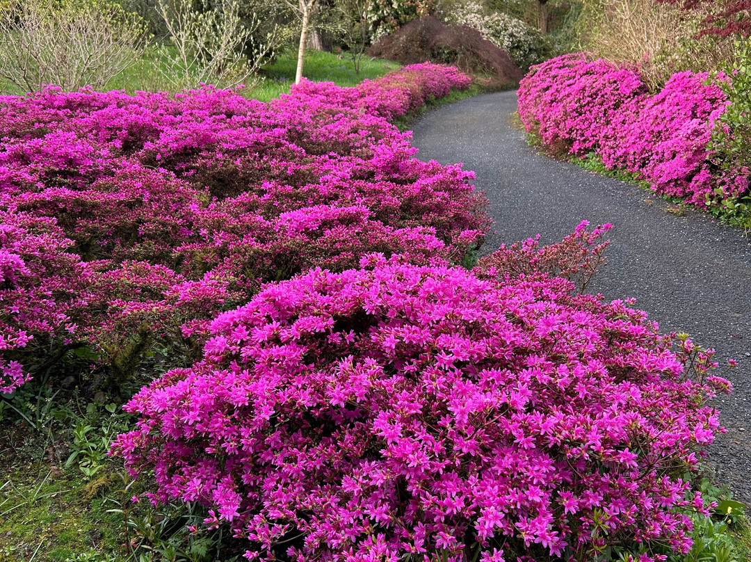 Mount Congreve Gardens-County Waterford必去景点