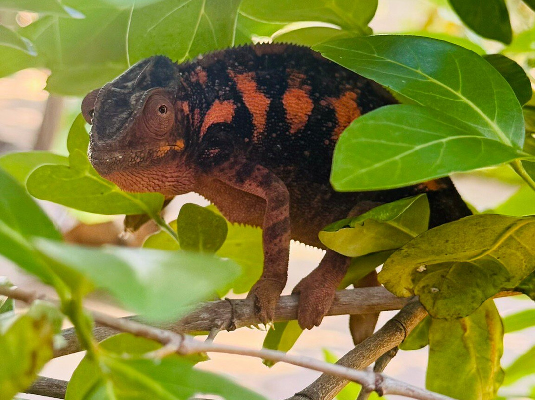 安佳马兰高海滩度假酒店主图