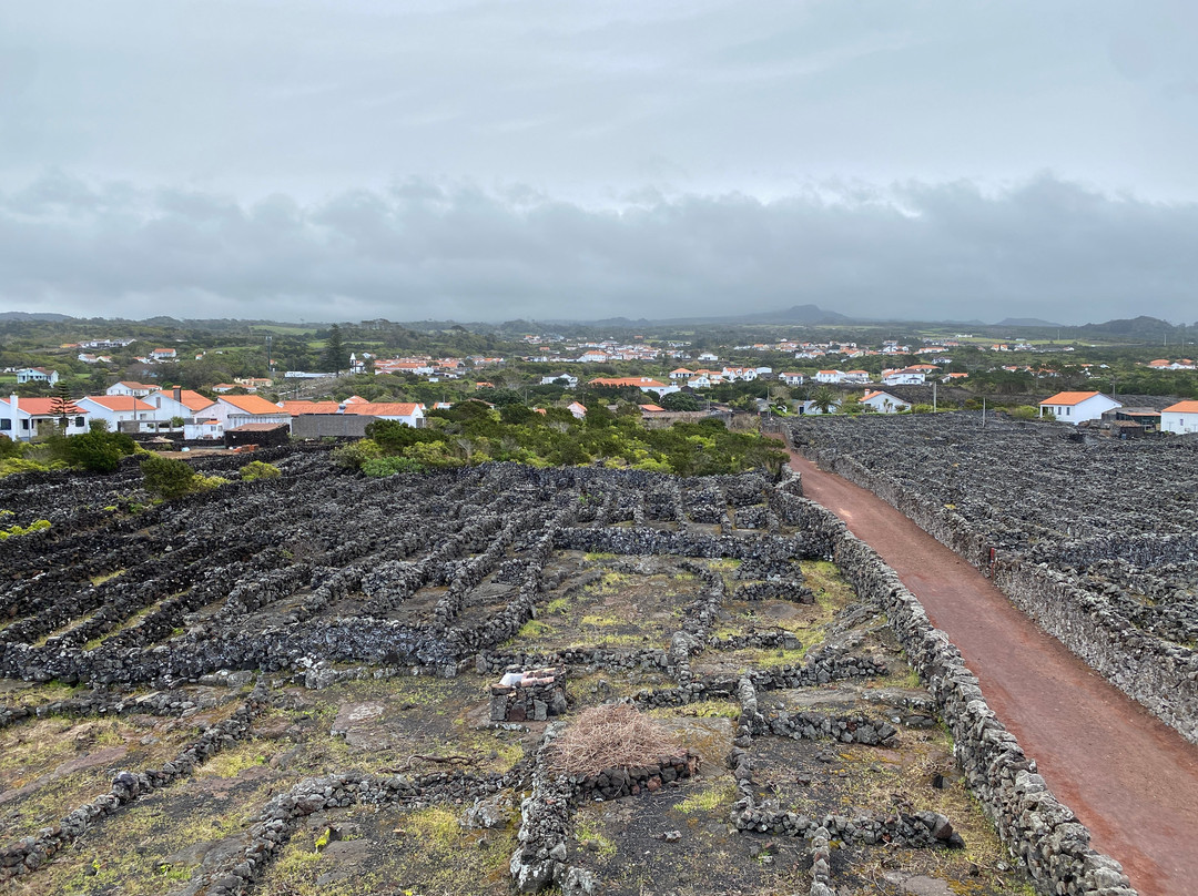 Hominis Natura-Lajes do Pico必去景点