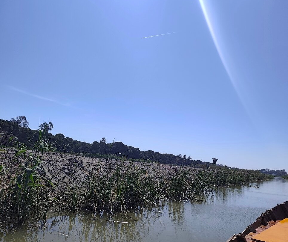 Visit Albufera-巴伦西亚必去景点