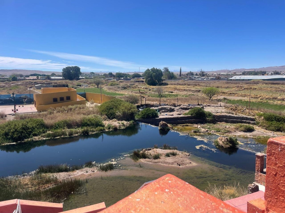Parque El Loa-Calama必去景点
