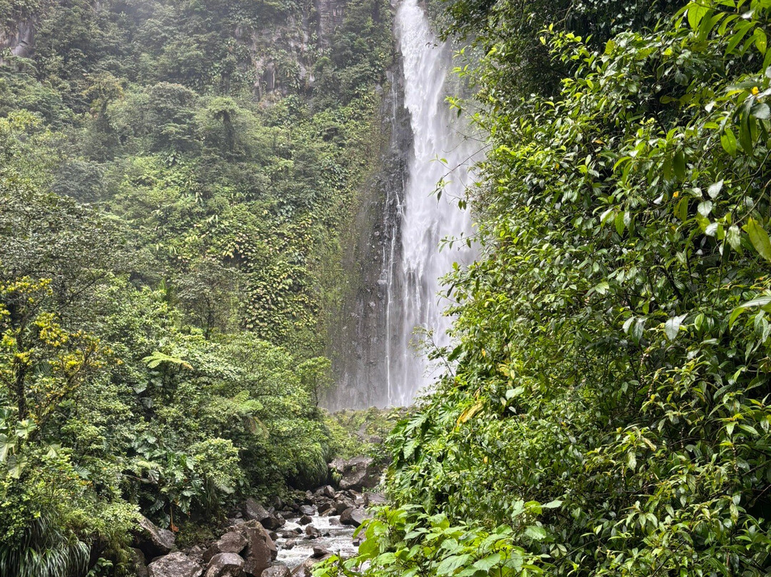 Cascade De La Riviere Carbet-Le Carbet必去景点