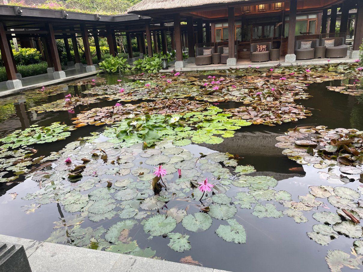 巴厘岛安达仕酒店-旅行者