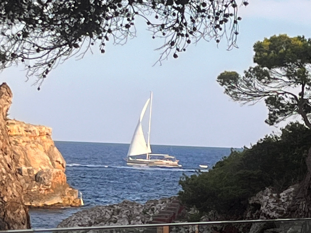 AluaSoul Mallorca Resort - Adults Only主图