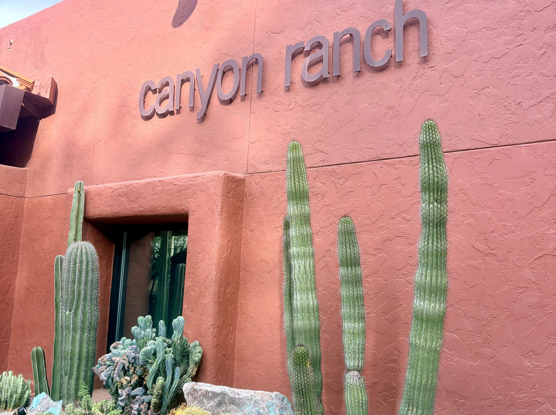 Canyon Ranch Wellness Resort Tucson主图