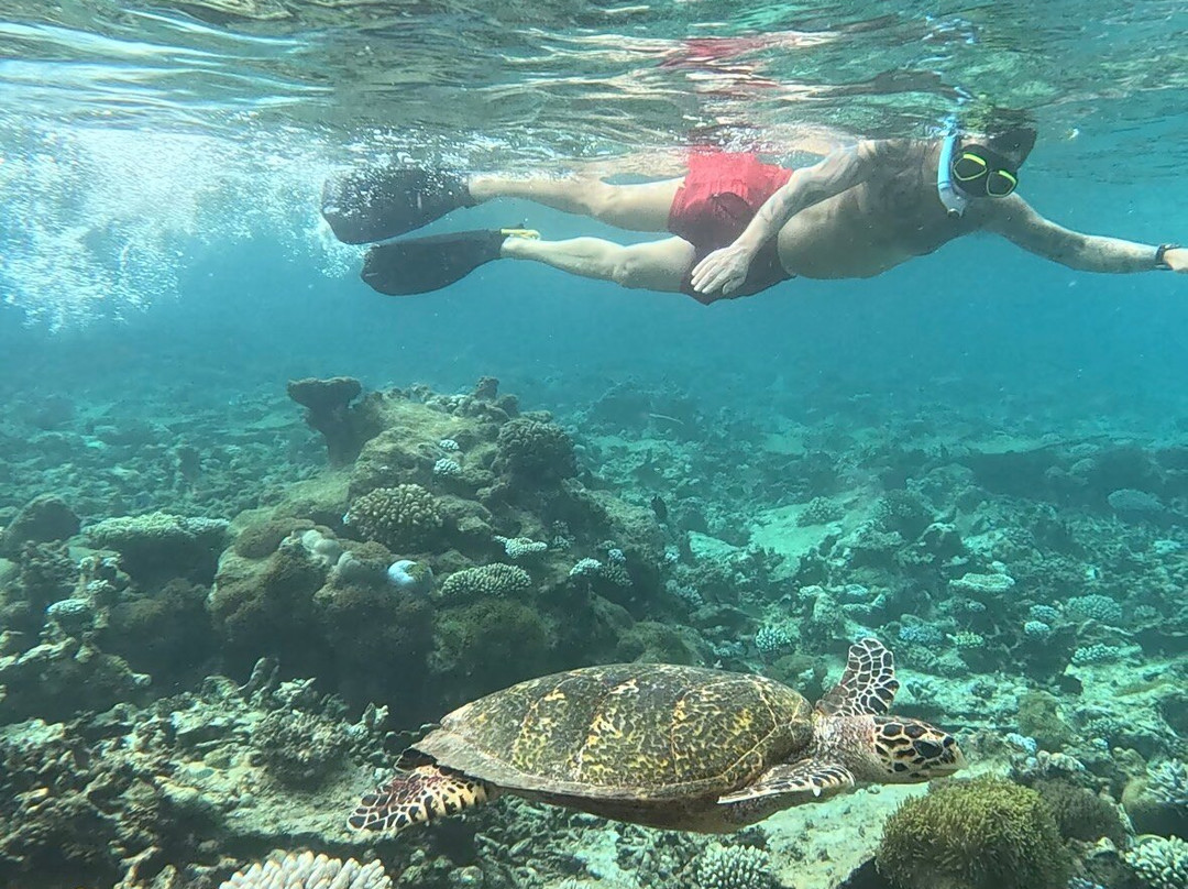Diving Bluetribe Moofushi-南阿里环礁必去景点
