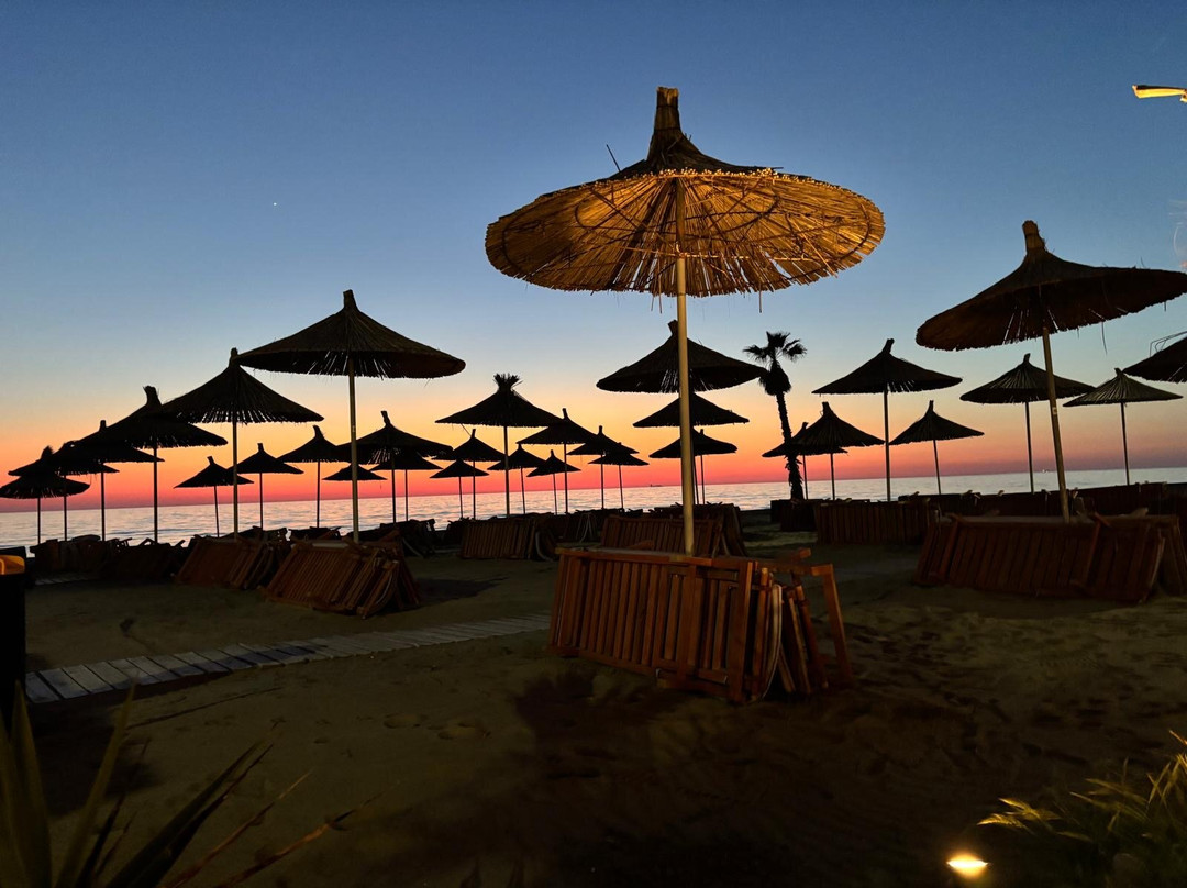 Albatros Beach & Resort