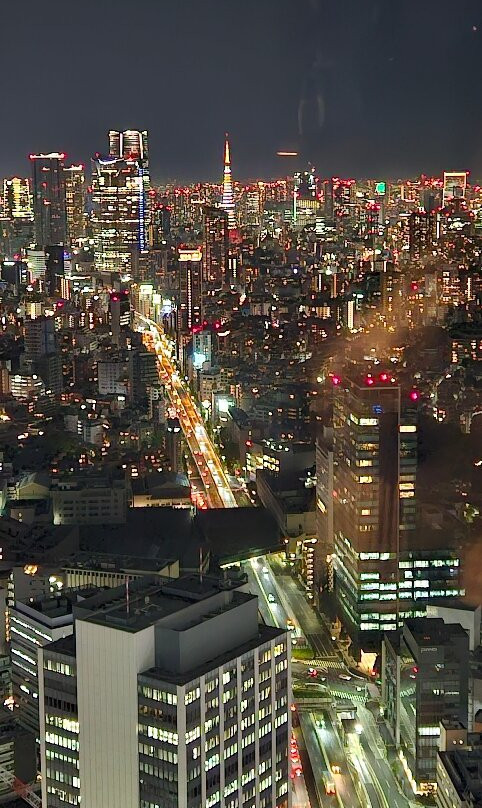 Shibuya Sky-涩谷区必去景点