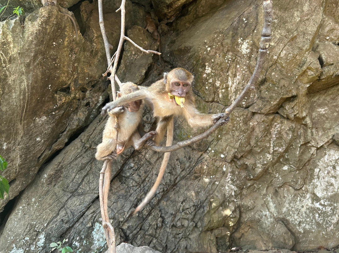 Khaolak Enjoy Tour And Travel-拉克山必去景点